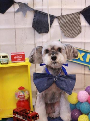 20230428来夢ちゃん